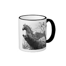 Europe, Austria, Salzburg. Winged horse statue, Coffee Mug