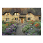 Europe, England, Chippenham. Early morning light Cards