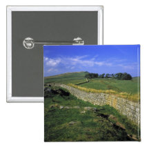 Europe, England, Hadrian's Wall. The stones of Buttons