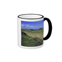 Europe, England, Hadrian's Wall. The stones of Coffee Mug