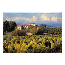 Europe, France, Bonnieux. Vineyards cover the Photo Print