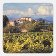 Europe, France, Bonnieux. Vineyards cover the Sticker