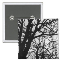 Europe, France, Paris. Winter trees, Marco Pinback Buttons