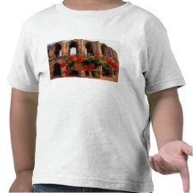 Europe, France, Provence, Arles, Bouches, du, Tee Shirts