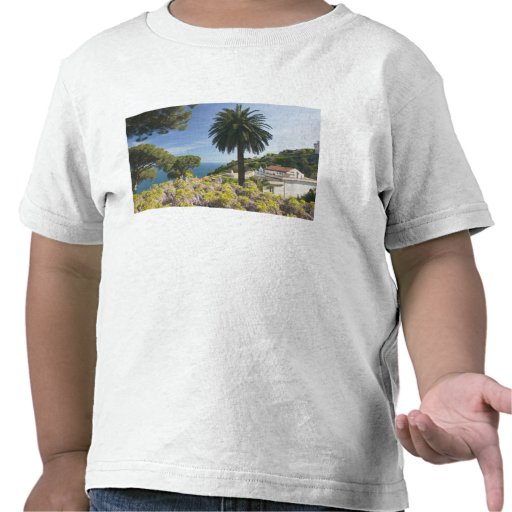 Europe, Italy, Campania, (Amalfi Coast), T-shirt
