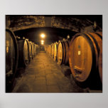 Europe, Italy, Toscana region. Chianti cellars Posters