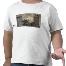 Europe, Italy, Tuscany, Chianti, Tuscan doorway; T-shirts