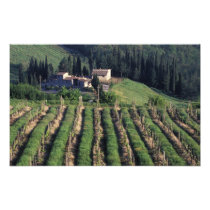 Europe, Italy, Tuscany. Scenic villa cyprus.