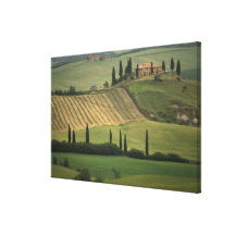 Europe, Italy, Tuscany, Val d' Orcia, Tuscan Gallery Wrapped Canvas