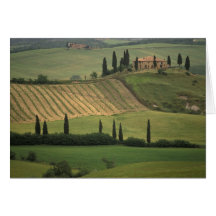 Europe, Italy, Tuscany, Val d' Orcia, Tuscan Greeting Card