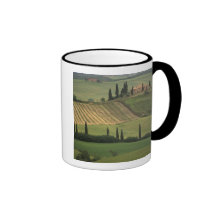 Europe, Italy, Tuscany, Val d' Orcia, Tuscan Mugs