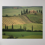 Europe, Italy, Tuscany, Val d' Orcia, Tuscan Print
