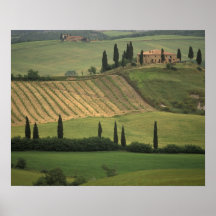 Europe, Italy, Tuscany, Val d' Orcia, Tuscan Print