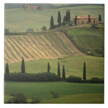 Europe, Italy, Tuscany, Val d' Orcia, Tuscan Tile