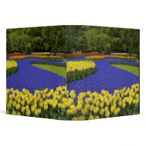 Europe, Netherlands, Holland, Lisse, Keukenhof 3 Ring Binder