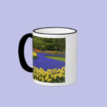 Europe, Netherlands, Holland, Lisse, Keukenhof mugs