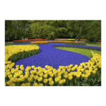 Europe, Netherlands, Holland, Lisse, Keukenhof