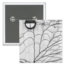 Europe, Switzerland, Lucerne. Ivy pattern on Pinback Buttons
