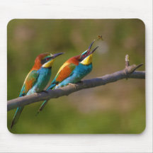 European Bee Eater Birds in Ariège France Mousepad