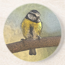 European blue tit coasters