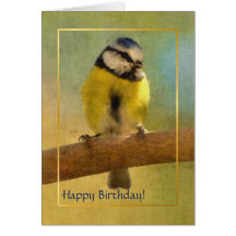 European bluetit digital painting greeting cards
