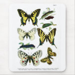 European Butterflies Plate I Mousepad
