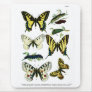 European Butterflies Plate I Mousepad
