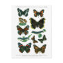 European Butterflies Plate III Postcard