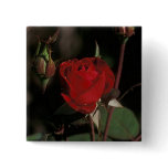 European Red Pin