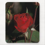 European Red Mousepads