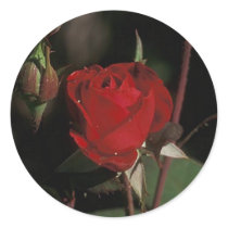 European Red Stickers