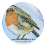 European Robin - Bird in England Stickers
