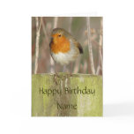 "European Robin-Bird Northumberland England" cards