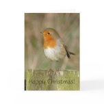 European Robin Christmas Card