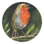 European Robin - England Bird Stickers