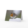 European Robin in snow cards