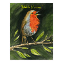 European Robin Yule Postcard
