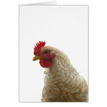 Euskal Oiloas are Awesome Rooster Greeting Card