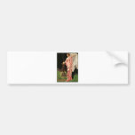 Eva Fay ~ The High Priestess of Mysticism Magic Bumper Stickers