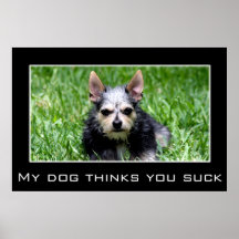 Even my dog knows you suck posters