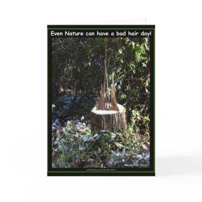 Even Nature Can Have A Bad Hair Day! Gifts Apparel Greeting Cards by leehillerloveadvice