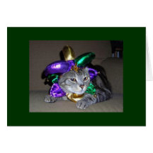 EVEN THE CAT IS CELEBRATING FOR "YOU" ARE "5O" GREETING CARD