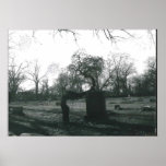 Even the willow weeps print