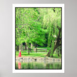 Evening At The Park Poster