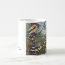Evening Grosbeaks Coffee Mug