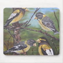 Evening Grosbeaks Mousepad