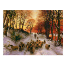 Evening Hours Postcard