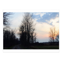 Evening in the woods post card