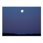 Evening Moon and blue Sky Postcards