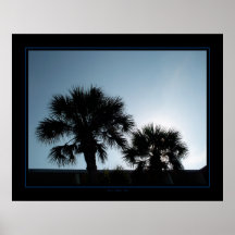 Evening Palms Print